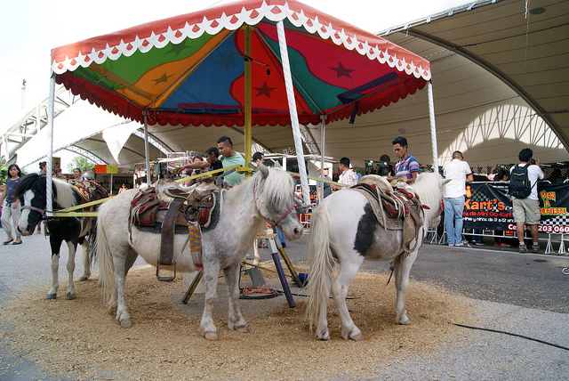 Se violó la Ley de Protección Animal durante la Feria de San Marcos