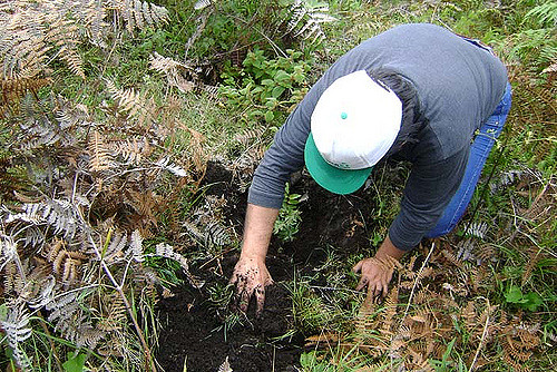 Jornada de reforestación en el Cerro del Muerto