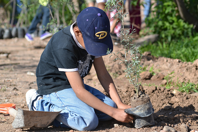 Se realizó jornada de reforestación social en las faldas del Cerro del Muerto