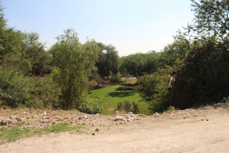 Tierras ejidales de Aguascalientes quedarán regularizadas al 100 por ciento antes de diciembre