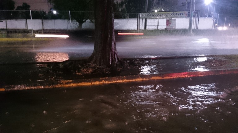 Lluvias puntuales han provocado deslaves en camellones