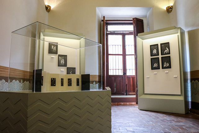 Universal Erótico de Rodrigo Téllez se aleja de la provocación