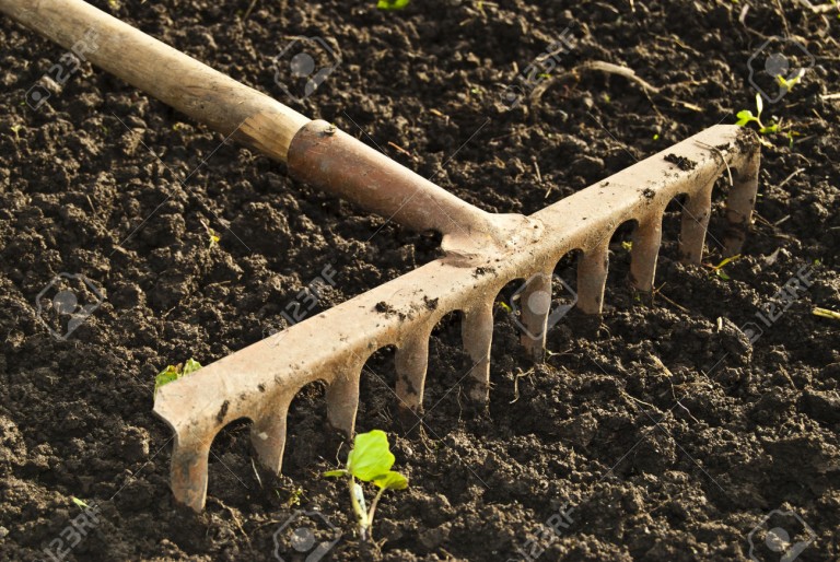 Capacitación a productores de Aguascalientes en la reconversión productiva al cultivo de nogal
