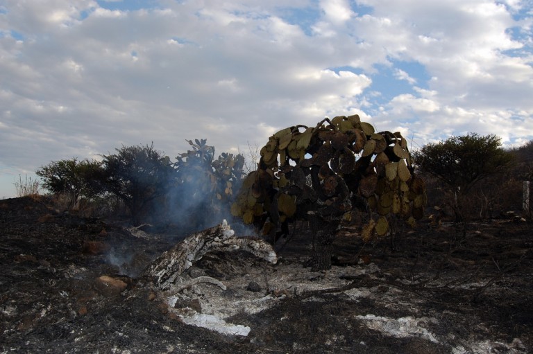Continúa la Smae con la evaluación de zonas degradadas en el Cerro del Muerto