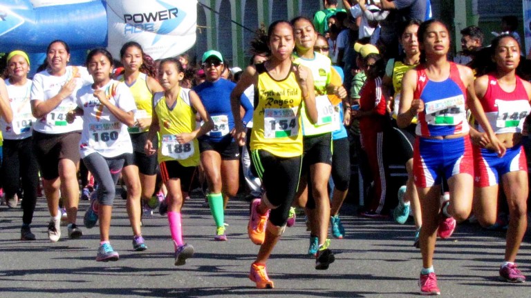 Carrera atlética árbol vivo