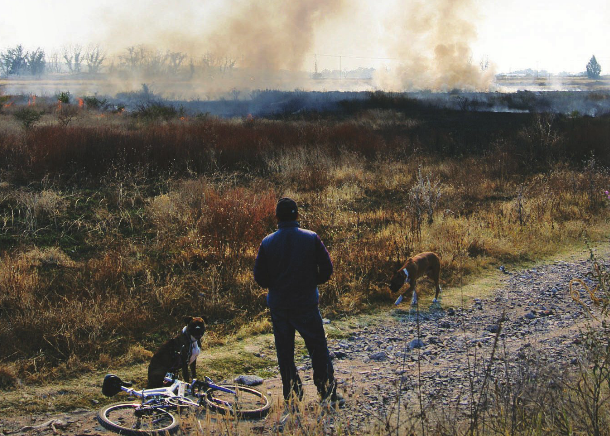 Concluyó la temporada de incendios forestales en Aguascalientes
