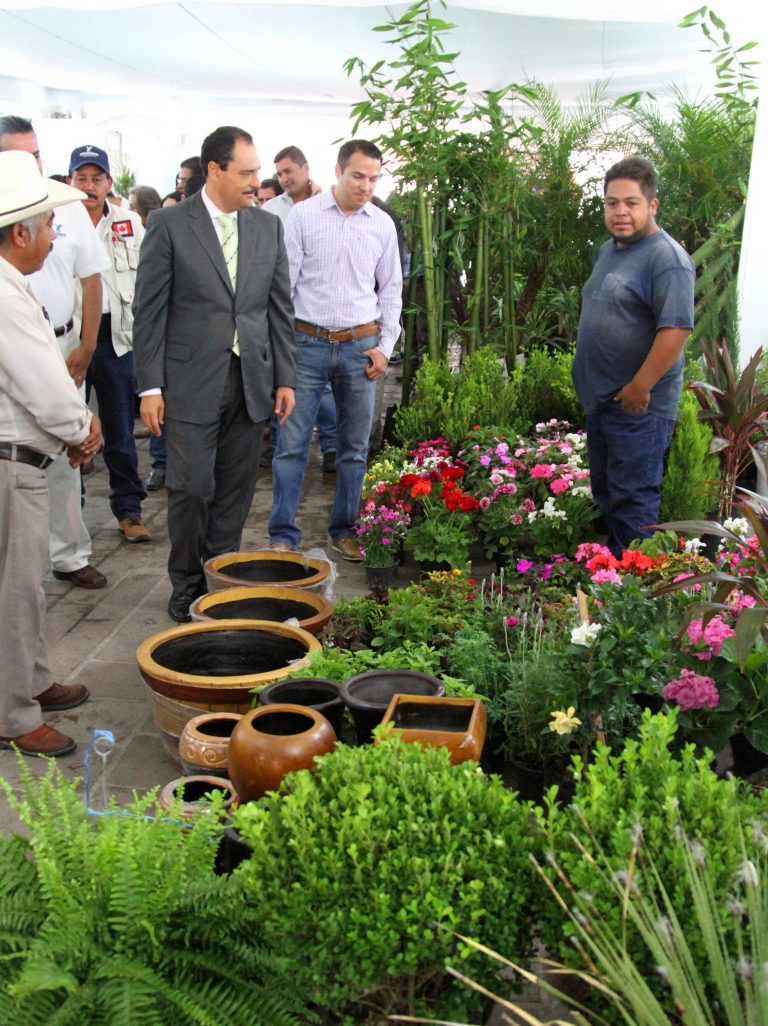 Inauguran el Segundo Encuentro Municipal de Viveristas