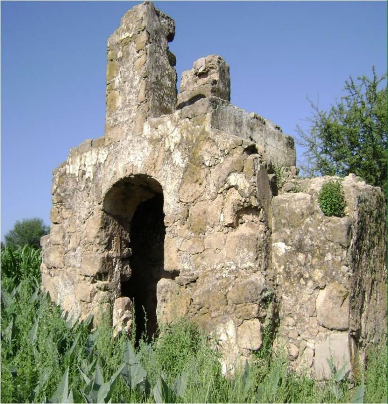 Hay ruinas de una civilización prehispánica en el bosque de Cobos