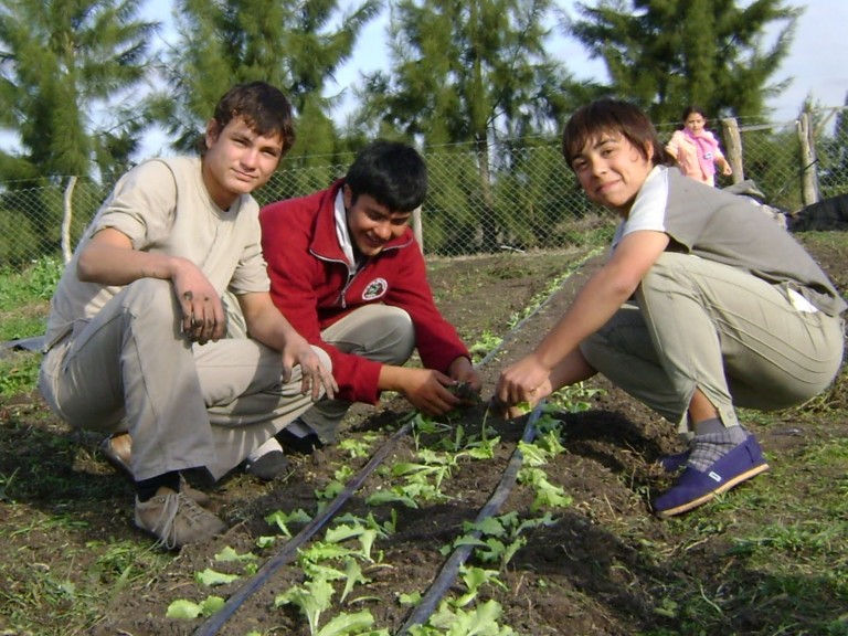 Secundarias Técnicas Agropecuarias son una opción de estudios en el estado