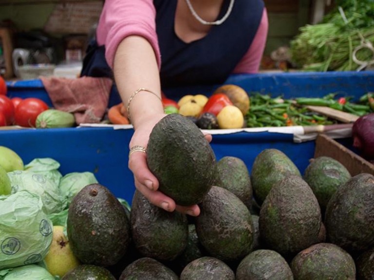 Aguacate, en 54.47 pesos por kilogramo en Aguascalientes