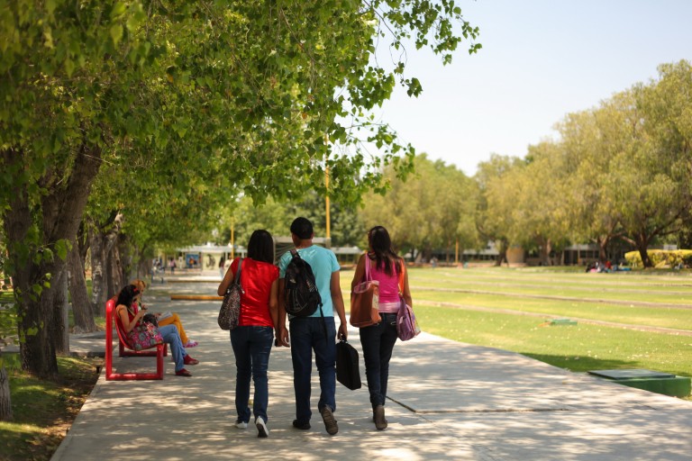 La competitividad lingüística genera mayores oportunidades de desarrollo social