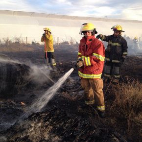 28097890793_efcd4bb104_z