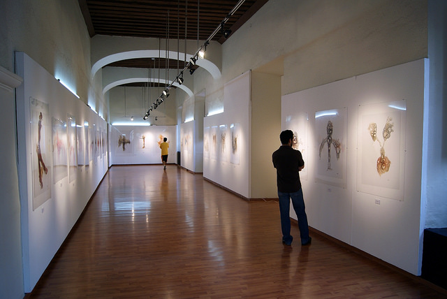 Aún no hay públicos que compren arte lamentó Fuentes Elías