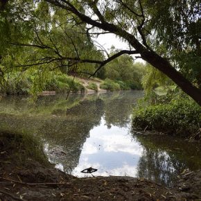 28117096293_66f9413812_z