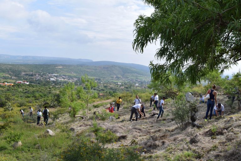 Rescata gobierno estatal más de 500 hectáreas en el Cerro del Muerto