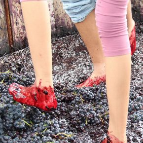 28429218810_a54f0689ce_z