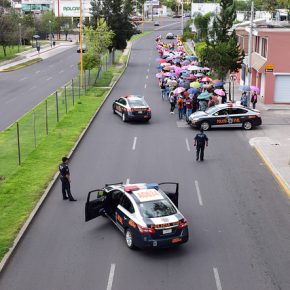 28448182920_3445c790b9_z