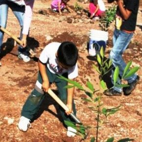 28607877782_a5250b0f69_o