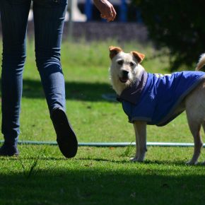 28607887062_43823db89e_h