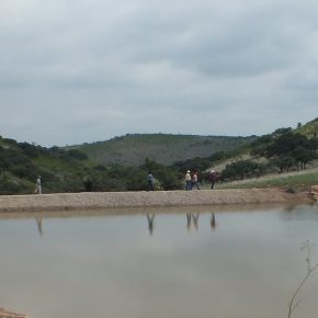 28635657761_ba9ca7820e_b