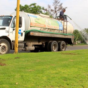 28635670201_af242b14a1_h