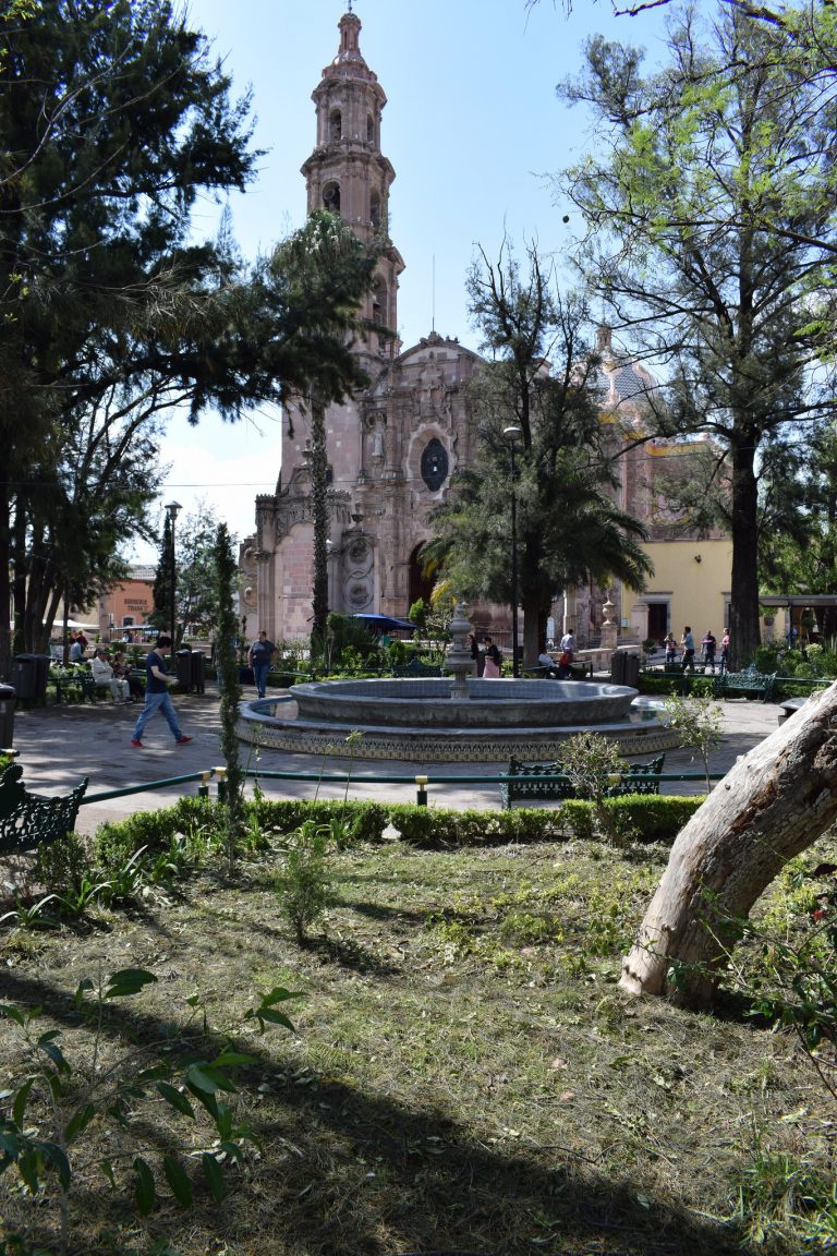 Provocan lluvias cierres de calles, vehículos varados y daños en el Jardín del Encino