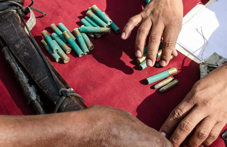 Cada vez más armas de fuego se adquieren en los hogares de Aguascalientes