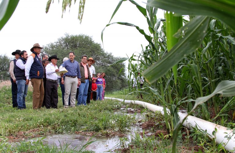 Inauguran sistema de riego en zona rural sur de la capital