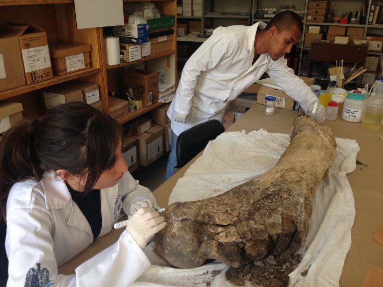 Bolfy Cottom: Tropiezos de la “política” cultural