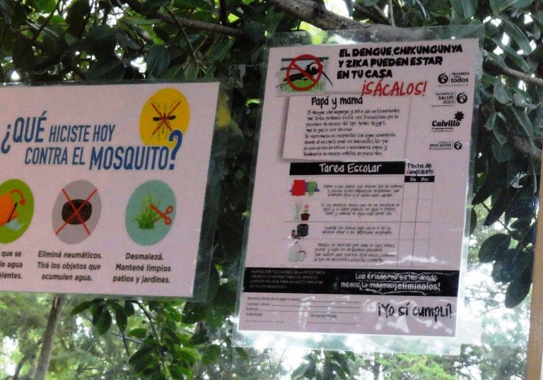 Busca Smae prevenir enfermedades transmitidas por mosquitos