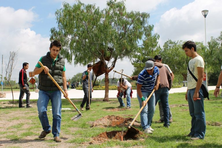 Participan jóvenes en las jornadas de reforestación en planteles de Instituciones de Educación Media Superior