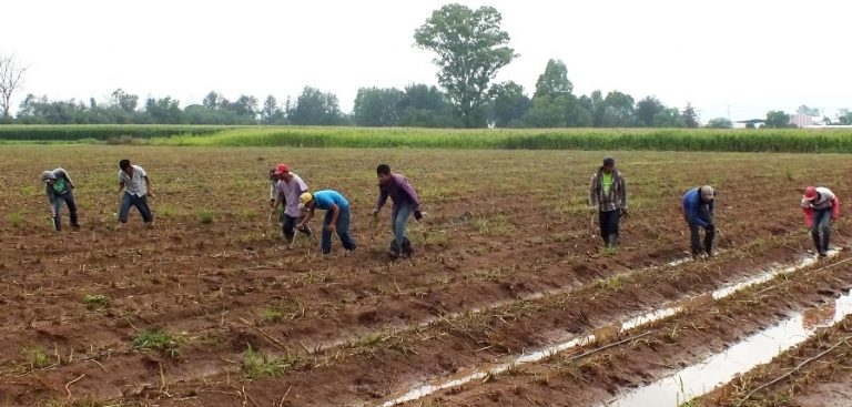 Sedrae y productores de Aguascalientes asistieron a la Convención Nacional de la Industria del Ganado en EU