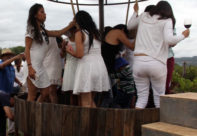 Inició la Fiesta de la Vendimia 2016