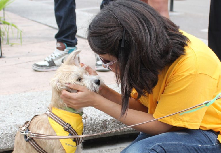 Perros y humanos procesan los rostros de manera muy similar