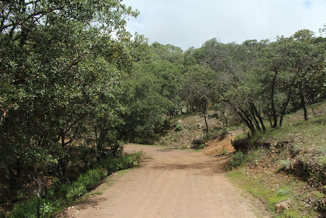 La Sierra del Laurel será declarada Área Natural Protegida