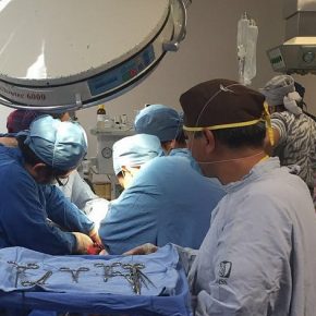 28678141271_da159cd32f_z