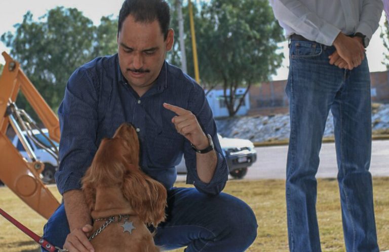 Inicia la construcción del parque para mascotas