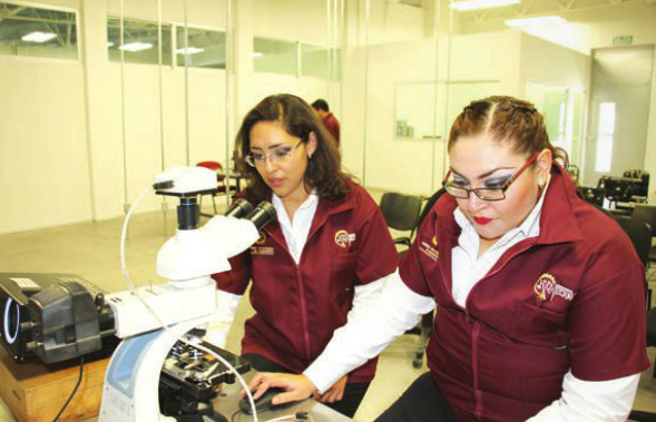 26 de septiembre, fecha límite para solicitar Beca de Manutención