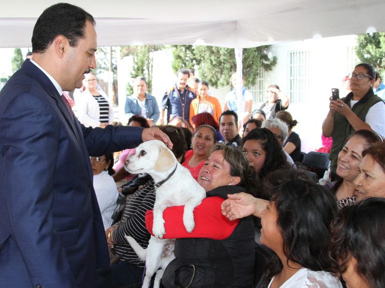 Urgente reformar la Ley y Reglamento de Protección Animal: