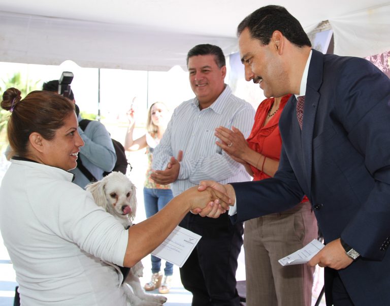 Arranca campaña de esterilización quirúrgica para perros y gatos