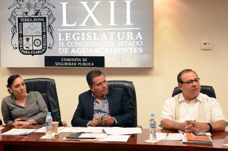 Diputados reciben comentarios sobre la Ley para el Uso de la Fuerza Pública