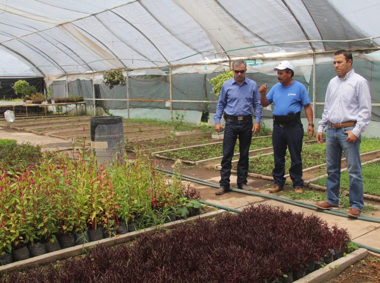 Ayuntamiento de Saltillo conoce la iniciativa Adopta un Camellón