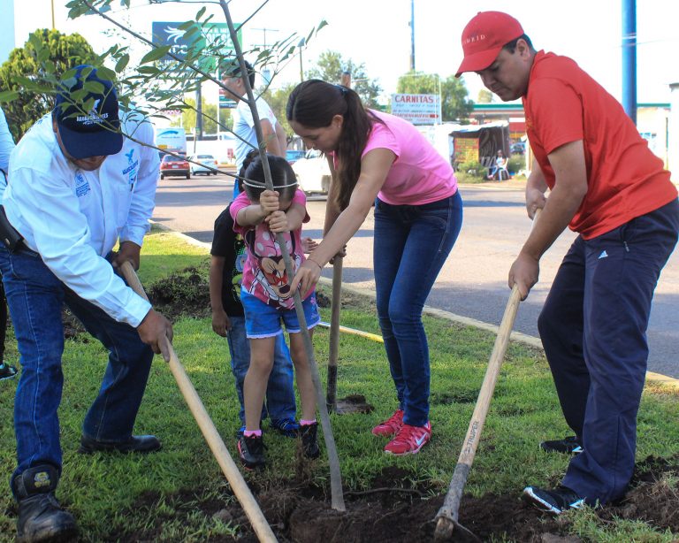 Trabajan municipio y Rotary International a favor del medioambiente