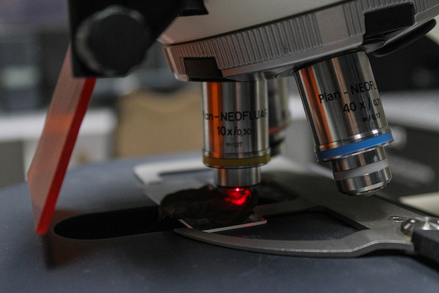 Descuida Federación a organizaciones de investigación científica, ecológicas y de desarrollo social