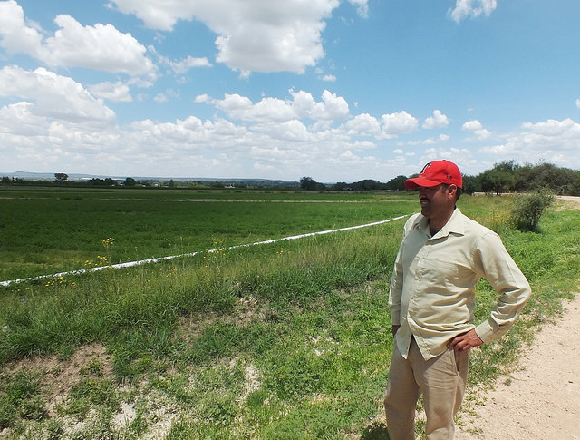 No se recortará el recurso destinado a financiamiento a productores agropecuarios