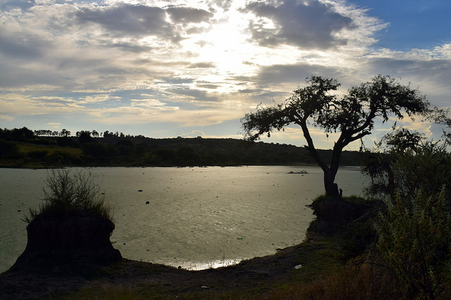 Movimiento Ambiental anuncia el Cobosfest 2016