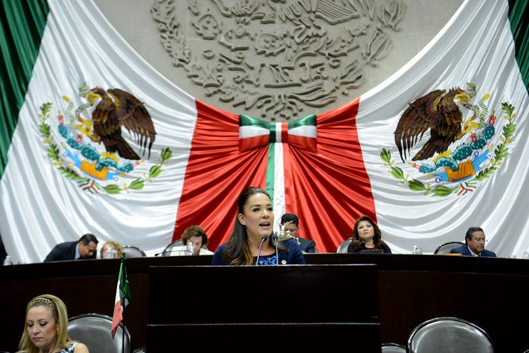 Presentarán iniciativa para crear Guarderías Empresariales 