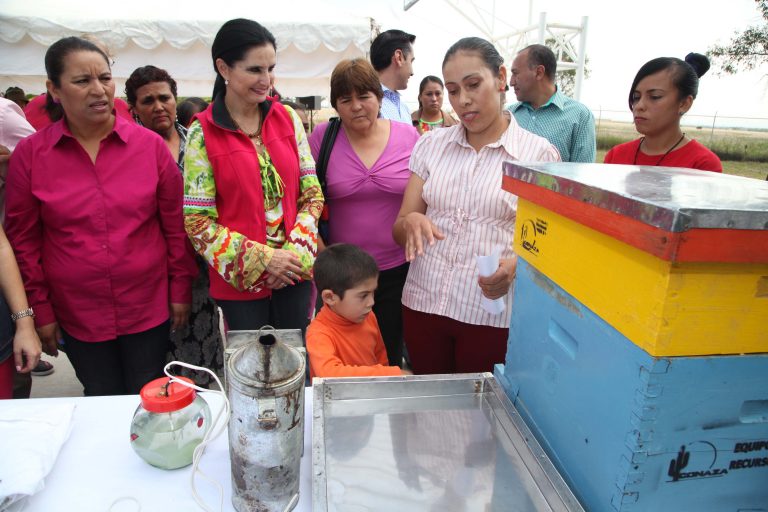 Apicultoras participarán en la Expo Internacional de Productos Provisionales y Orgánicos en Chiapas