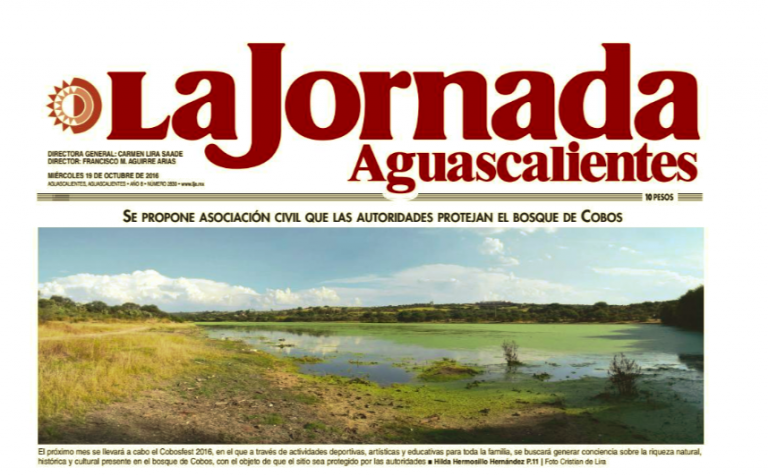 LJA 19 de Octubre 2016