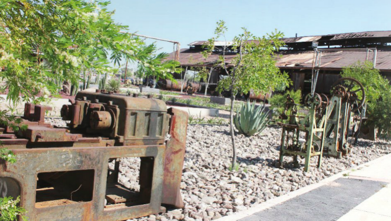 Concluye la construcción de jardín de la Biblioteca Centenario-Bicentenario